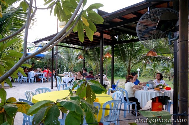 [po%2520po%2520steamboat%2520review12%255B2%255D.jpg.webp]