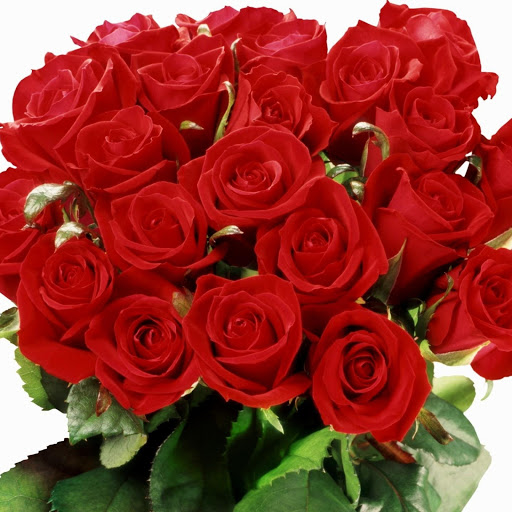 Hd-149270-ascw149270