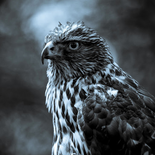 Hd-140829-ascw140829