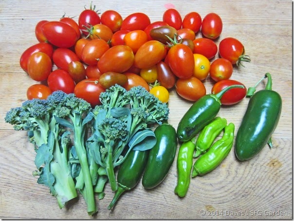 Tomatoes&Broccoli