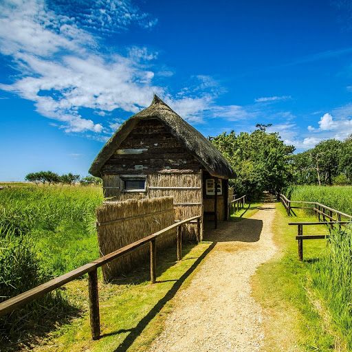 Hd-146399-ascw146399