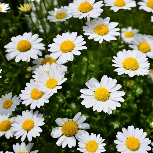 Hd-141764-ascw141764