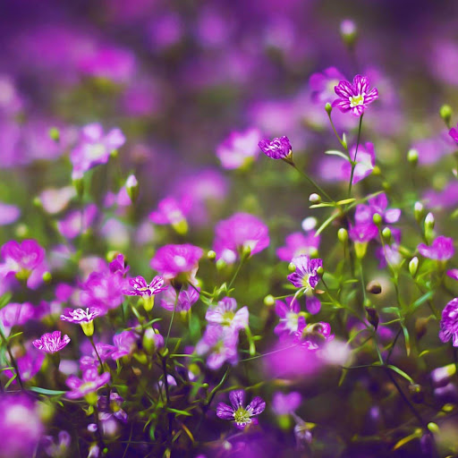 Hd-150232-ascw150232