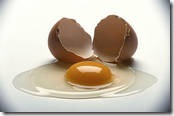egg white and egg yolk