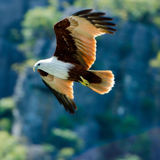 Hd-166630-ascw166630