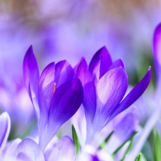 Hd-164390-ascw164390