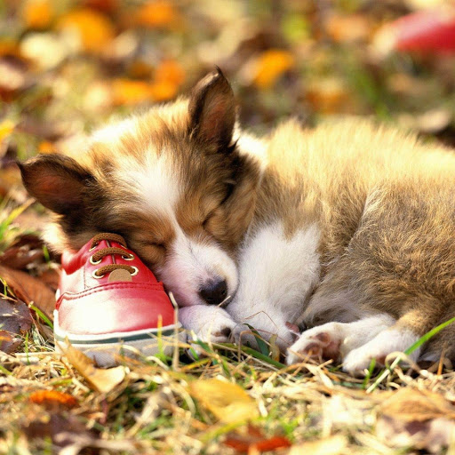 Hd-152122-ascw152122