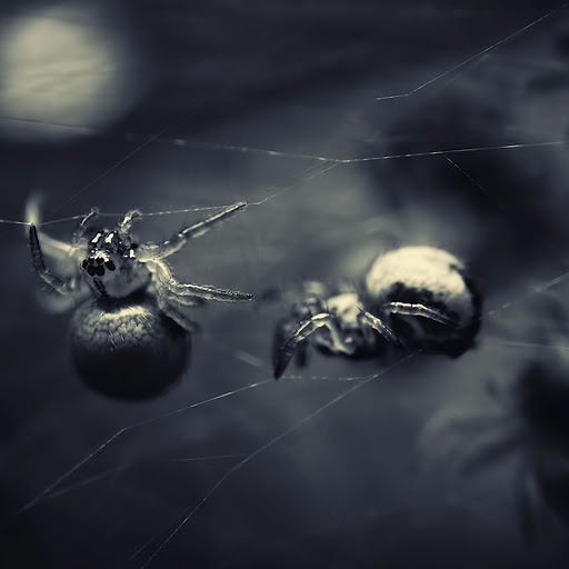 Hd-141356-ascw141356