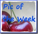 AA Pic of the Week 125 w
