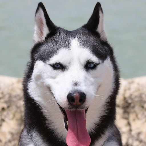 Hd-182636-ascw182636