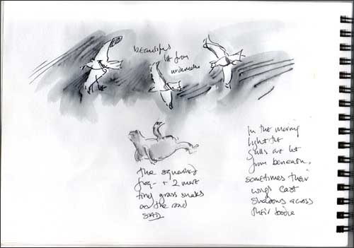 [gulls%2520%2520bg%255B3%255D.jpg]