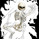 esqueletommmm.jpg