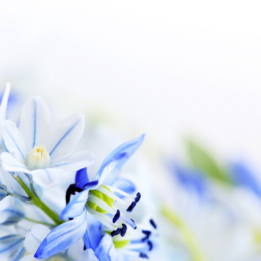 Hd-171409-ascw171409