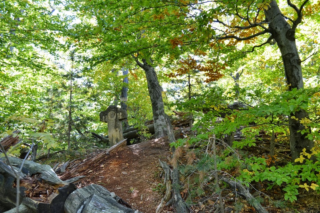 [DSC_02803.jpg]