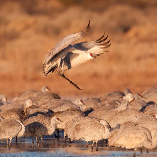 Hd-159605-ascw159605