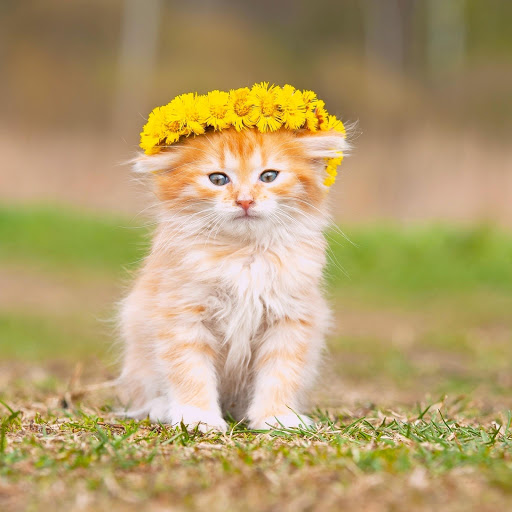 Hd-157932-ascw157932