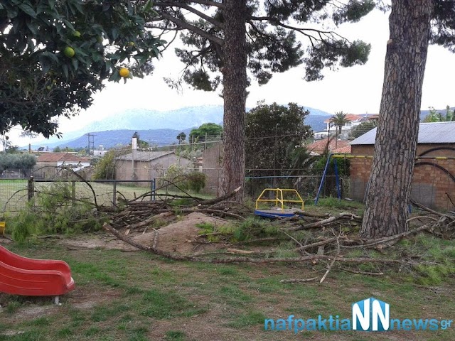 2012-01-01 13.25.17.jpg