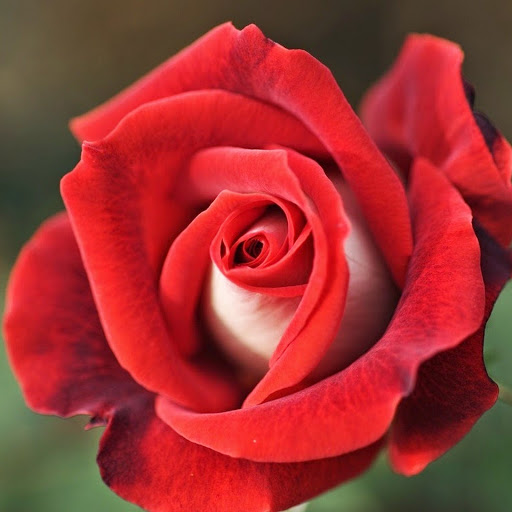 Hd-141692-ascw141692