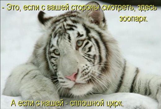 [1340032670_020%255B3%255D.jpg]