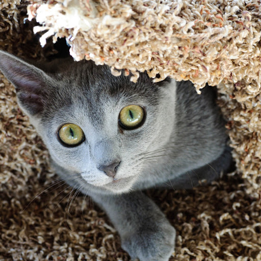 Hd-162684-ascw162684