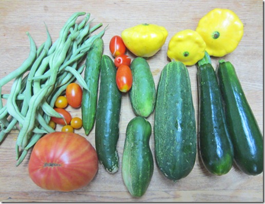 Harvest assortment with a Big Rainbow tomato
