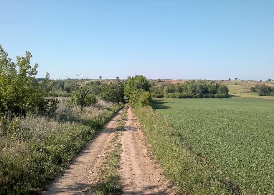 [2012-05-19-094_re%255B2%255D.jpg]