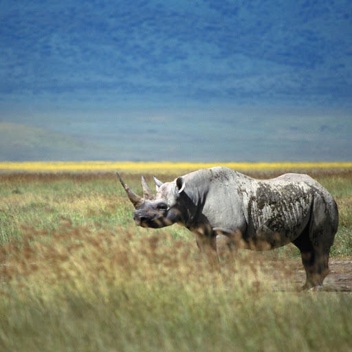 Hd-140832-ascw140832