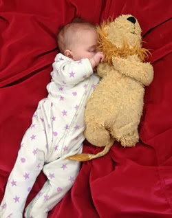 j asleep with lion (1 of 1)