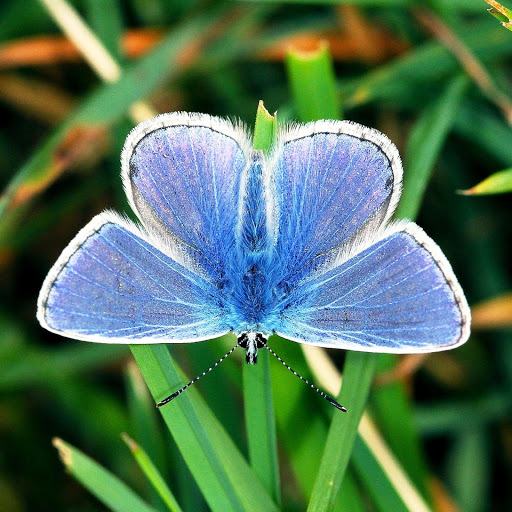 Hd-180530-ascw180530