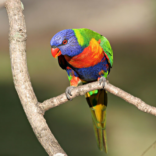 Hd-162269-ascw162269