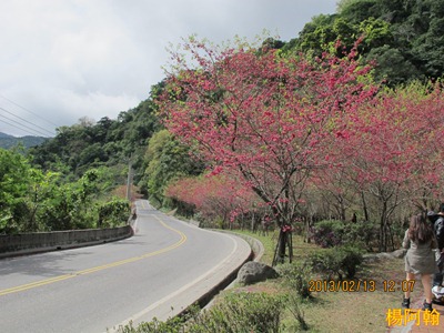 a030 - 台7甲