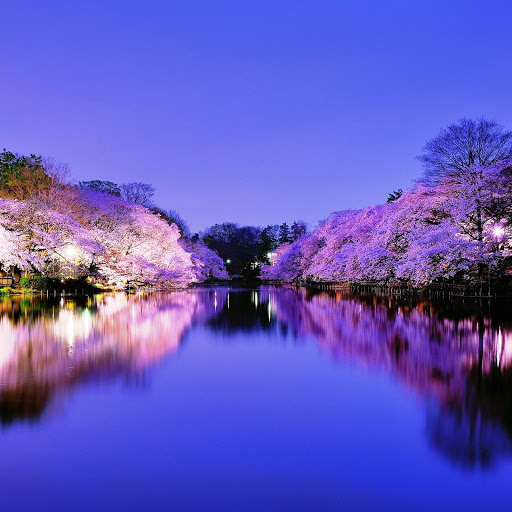 Hd-141728-ascw141728