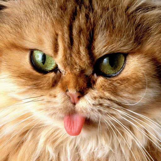 Hd-135230-ascw135230