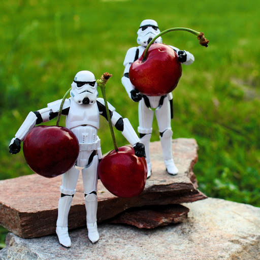 Hd-158105-ascw158105