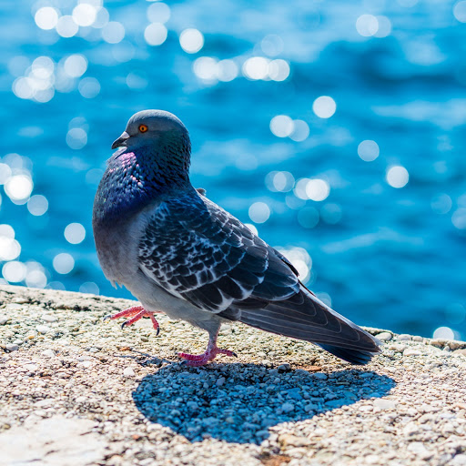 Hd-157189-ascw157189