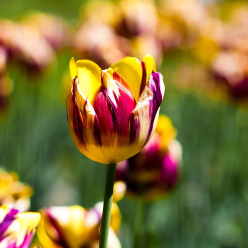 Hd-172364-ascw172364