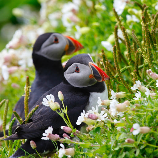 Hd-132386-ascw132386