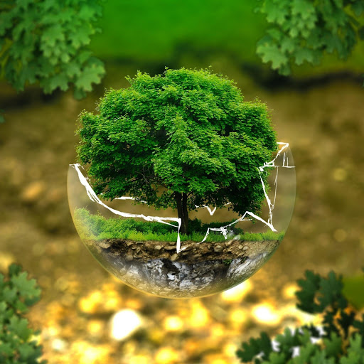 Hd-183620-ascw183620