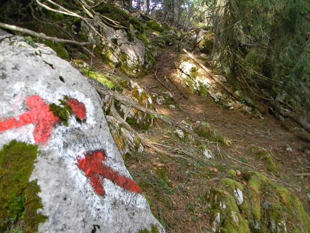 [DSCN87513.jpg]