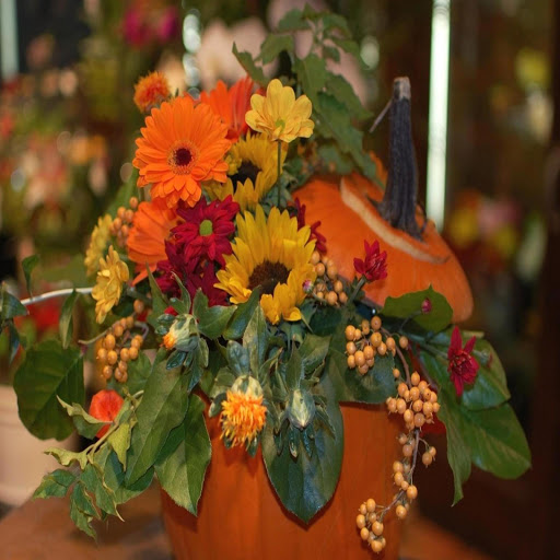 Hd-172160-ascw172160