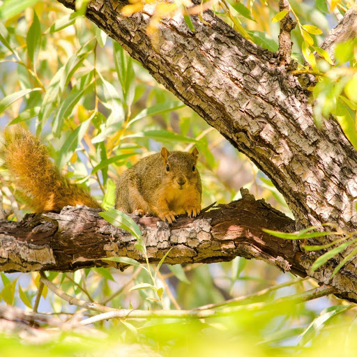 Hd-157962-ascw157962