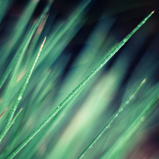 Hd-133097-ascw133097