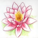Acupuncture MDB logo