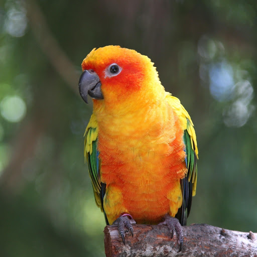 Hd-164340-ascw164340