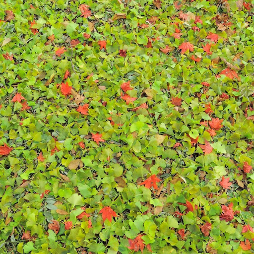 Hd-142981-ascw142981