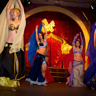 IMG_8389.JPG