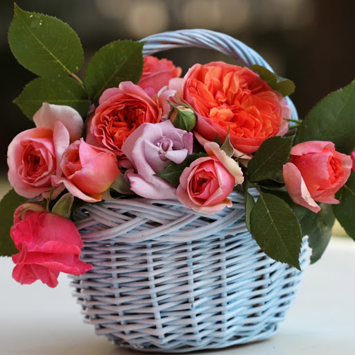 Hd-182311-ascw182311