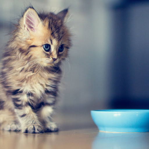 Hd-145234-ascw145234