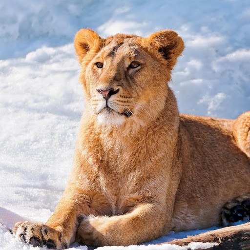 Hd-180428-ascw180428