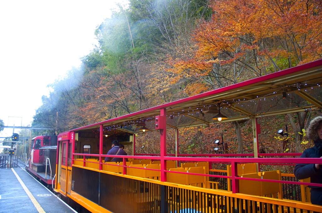 [DSC_0323_1%255B5%255D.jpg]